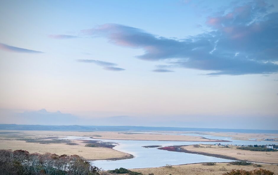 できることをする