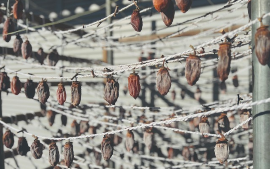 あけましておめでとう